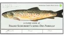 Illustration of trout