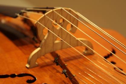 Close-up of strings on a baryton